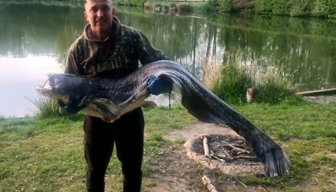 A fish from Brocard Small, Jul 2018