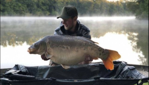 A carp from Brocard Small, Jun 2018