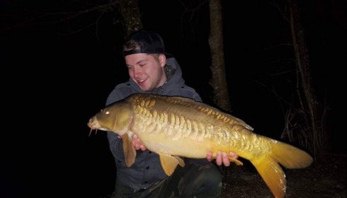 A carp from Brocard Small, Mar 2019