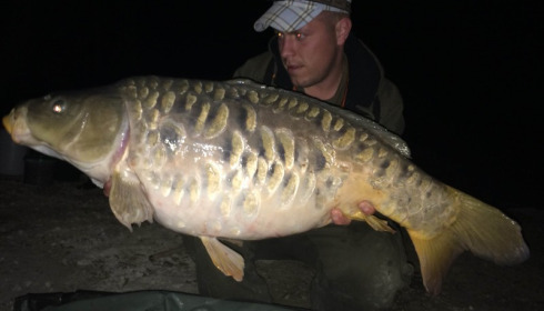 A carp from Brocard Small, Swim 3, Apr 2014