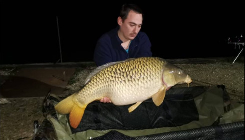 A carp from Brocard Small, Mar 2019