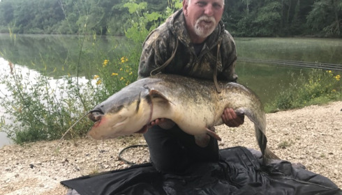 A catfish from Brocard Small, Colin Woolmer, Jun 2017