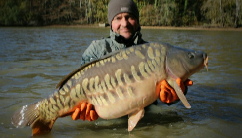 A carp from Brocard Small, Nov 2016