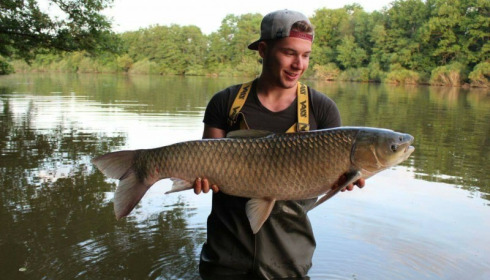 A carp from Brocard Small, Jun 2017