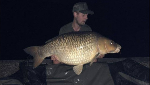 A carp from Brocard Small, Jun 2018