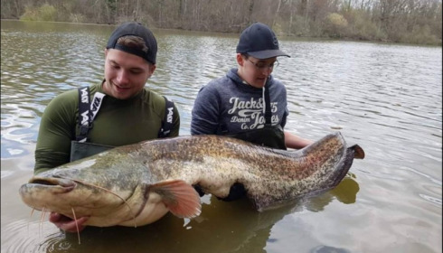 A catfish from Brocard Small, Mar 2019