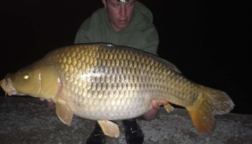 A carp from Brocard Small, Swim 2, Apr 2015