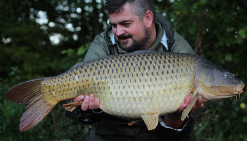 A carp from Brocard Small, Andrew Gilbert, Oct 2017