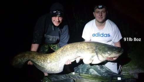 A 91 lb 8 oz catfish from Brocard Small, May 2015