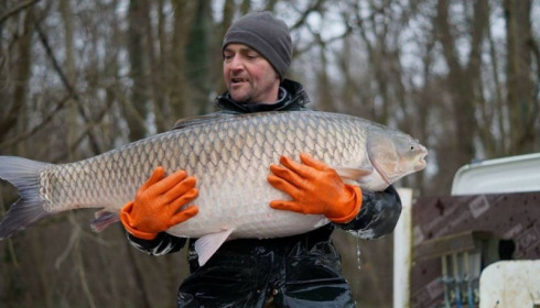 A grass carp from Brocard Small, Mar 2016