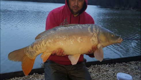 A carp from Brocard Small, Mar 2019