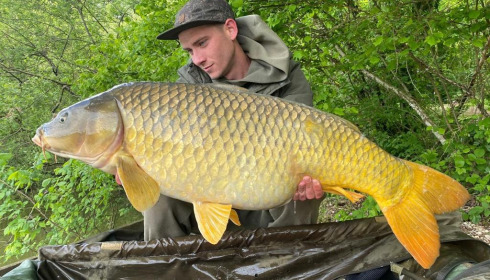 A carp from Brocard Small, May 2021