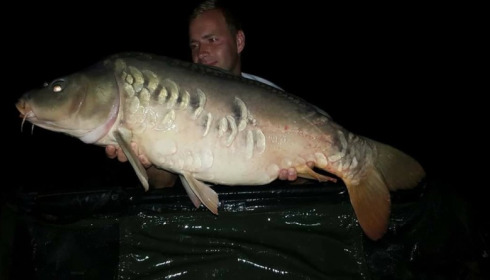 A carp from Brocard Small, Swim 2, Aug 2017