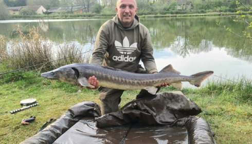A fish from Brocard Small, Jul 2018