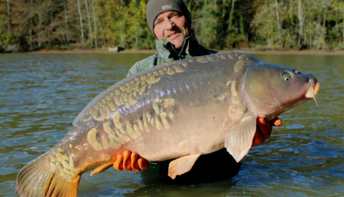 A carp from Brocard Small, Nov 2016