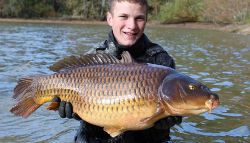 A carp from Brocard Small, Nov 2016