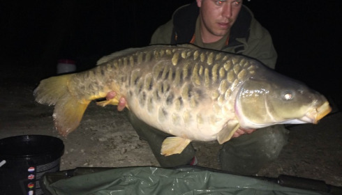 A carp from Brocard Small, Swim 3, Apr 2014