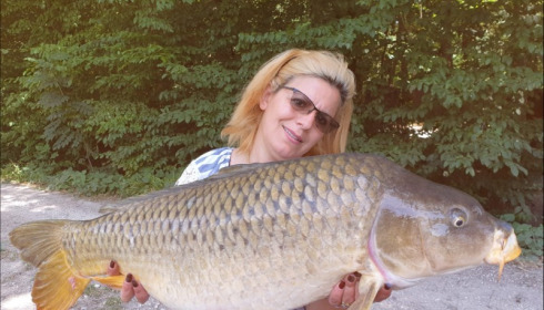 A carp from Brocard Small, Aug 2019