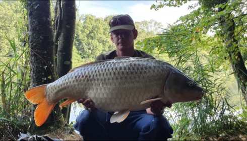A carp from Brocard Small, Aug 2019