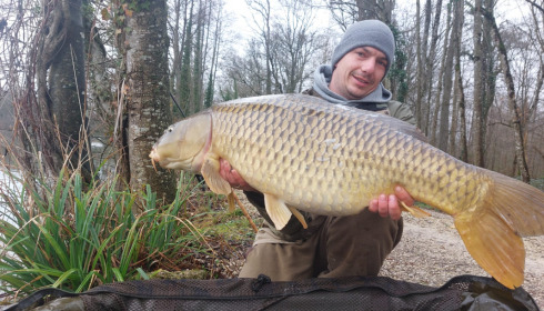 A carp from Brocard Small, Mar 2022