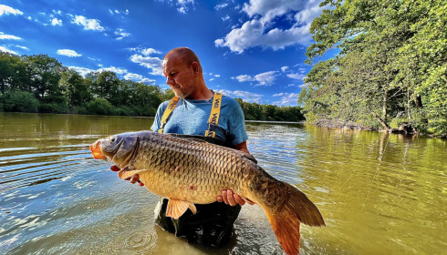 A fish from Brocard Small, All carp are in great condition, May 2022