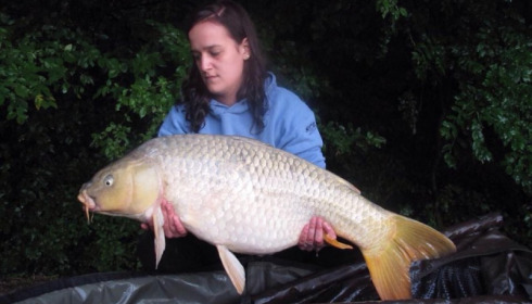 A carp from Brocard Small, Jul 2014