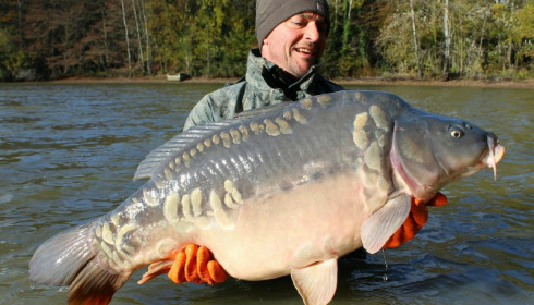 A carp from Brocard Small, Nov 2016