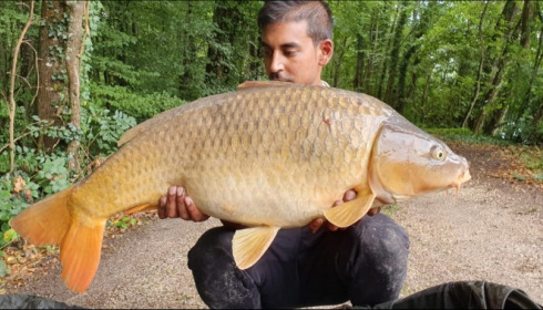 A carp from Brocard Small, Aug 2019