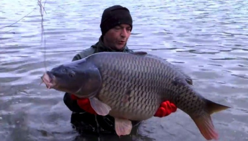 A carp from Brocard Small, January Stocking, Jan 2014