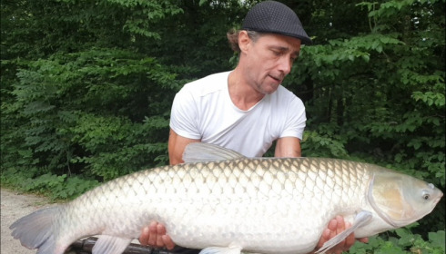 A grass carp from Brocard Small, Aug 2019
