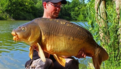 A carp from Brocard Small, Markus Haberleitner, Jun 2014
