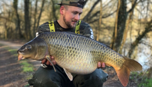 A carp from Brocard Small, Mar 2017