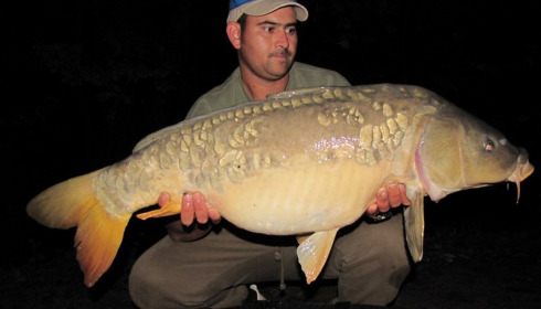 A carp from Brocard Small, Swim 2, Oct 2015