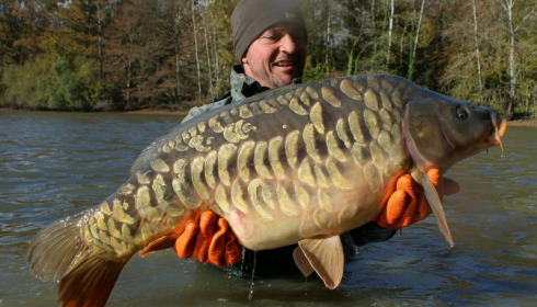 A carp from Brocard Small, Nov 2016