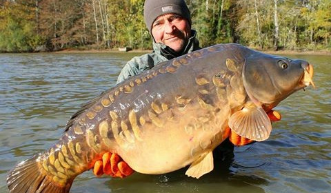 A carp from Brocard Small, Nov 2016