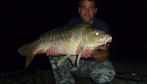 A carp from Brocard Small, Swim 4, Aug 2015