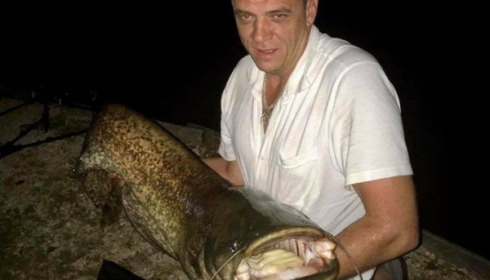 A catfish from Brocard Small, Jun 2017