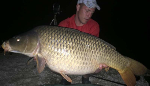 A carp from Brocard Small, Swim 2, Apr 2015