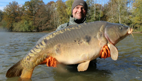 A carp from Brocard Small, Nov 2016