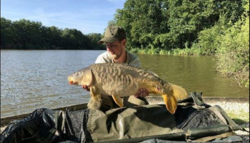 A carp from Brocard Small, Jun 2018