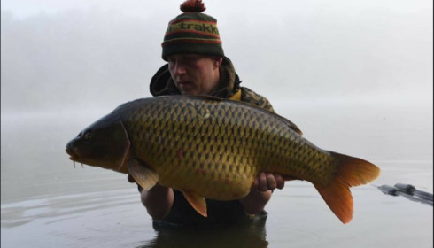 A carp from Brocard Small, Jun 2018
