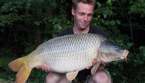 A carp from Brocard Small, Jul 2015