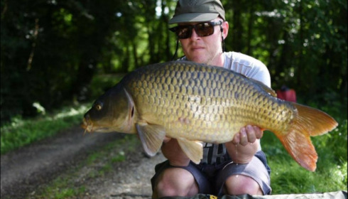 A carp from Brocard Small, Jun 2018