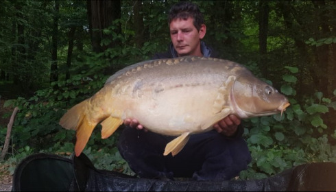 A carp from Brocard Small, Aug 2019