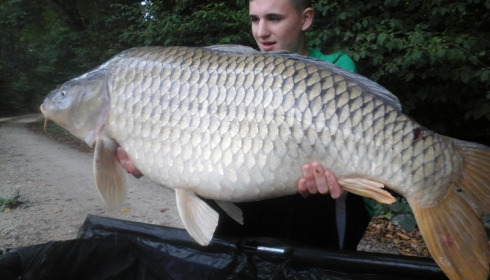 A 44 lb carp from Brocard Small, Swim 3, Aug 2015