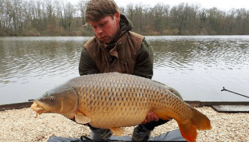 A carp from Brocard Small, Swim 2, Mar 2018