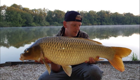 A carp from Brocard Small, Jun 2019