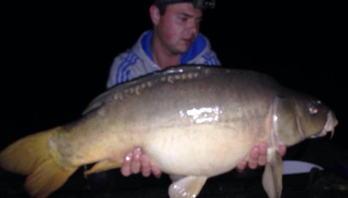 A carp from Brocard Small, Oct 2014