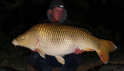 A carp from Brocard Small, Aug 2019