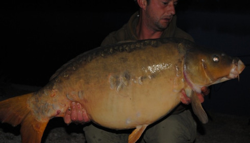A carp from Brocard Small, Swim 4, Aug 2015